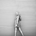 Mark Estep Photo 39