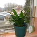 Janet Craig Photo 12