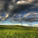 Thomas Fields Photo 24