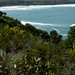 Cliff Nelson Photo 23
