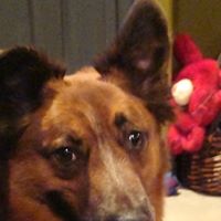 Max Shaw Photo 5