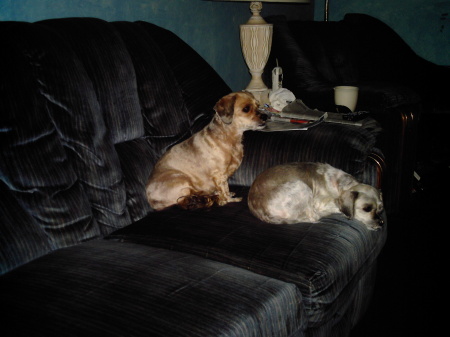 Sheila Roberts Photo 41
