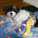 Chelsey Foster Photo 18
