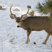 Jason Henke Photo 15