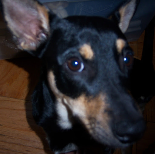 Heather Chaffin Photo 2