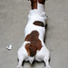 Wilma Russell Photo 21