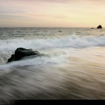 Sergio Alvarado Photo 38