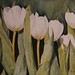 Donna Snyder Photo 13
