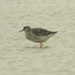 Paul Conover Photo 17