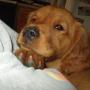 Saundra Ward Photo 16