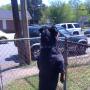 Millicent Harris Photo 9
