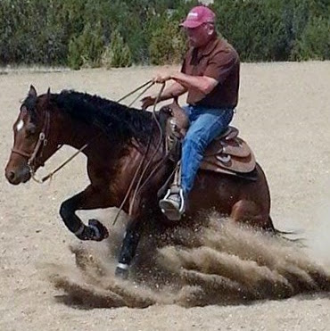Alan Pitts Photo 9
