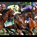 Anthony Velazquez Photo 17