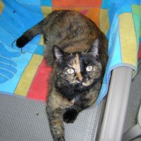 Nita Robinson Photo 5