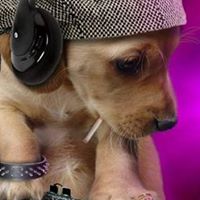 Jane Hutchison Photo 35 Jane Hutchison Photo 35