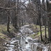 Brian Baer Photo 38
