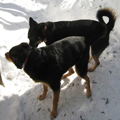 Lorraine Roberts Photo 15
