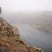 Misty Werner Photo 13