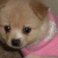Jeanette Amezcua Photo 7