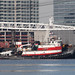 Thomas Weeks Photo 7