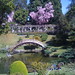 Fang Liu Photo 8
