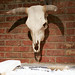 Randy Parson Photo 19