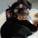 Janie Weeks Photo 18
