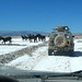 Nancy Baldi Photo 7