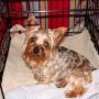 Donna Hager Photo 40