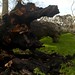 Mark Talbert Photo 23