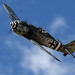 John Maloney Photo 37