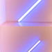Timothy Flavin Photo 20
