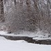 Rob Robbins Photo 32