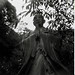 Diana Priest Photo 20