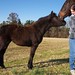 Shannon Williamson Photo 18