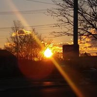 Donald Rowe Photo 42