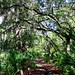 Peggy Parks Photo 33