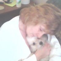 Terri Jacobs Photo 16