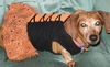 Janet Green Photo 11