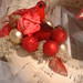 Monica Anderson Photo 27