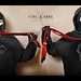 Ying Yang Photo 14