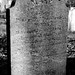 Mary Hendricks Photo 10