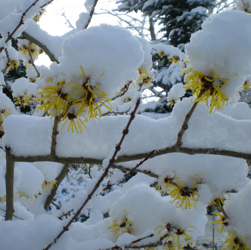 Kevin Graham Photo 8