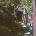 A M Photo 37