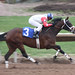John Grabowski Photo 16