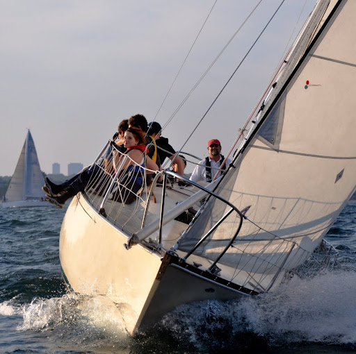 Scott Harrison Photo 26