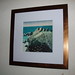 Carol Landers Photo 20