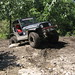 Denise Tuttle Photo 18