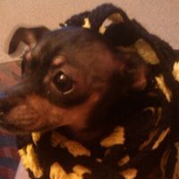 Judy Rhoades Photo 29