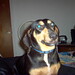 Fredrick Hunter Photo 28